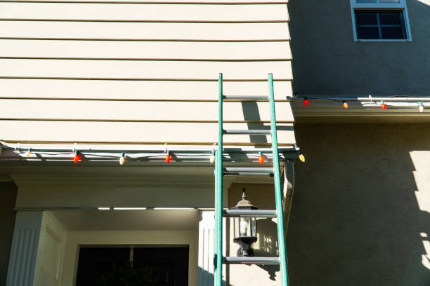 Best Custom Siding Design  in Ocean Grove, MA